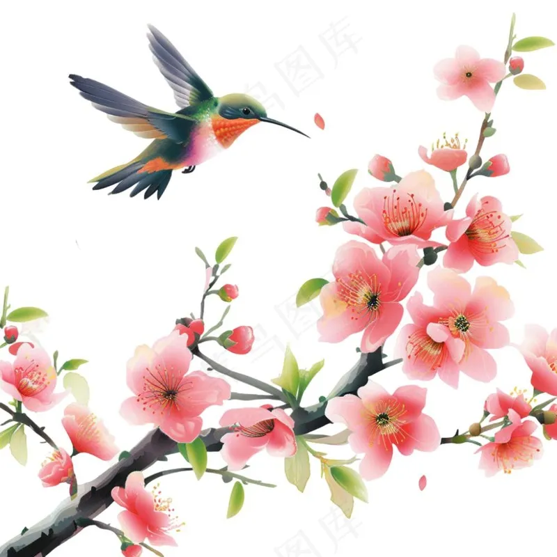 春天桃花树枝小鸟插画免抠(1024x1024)