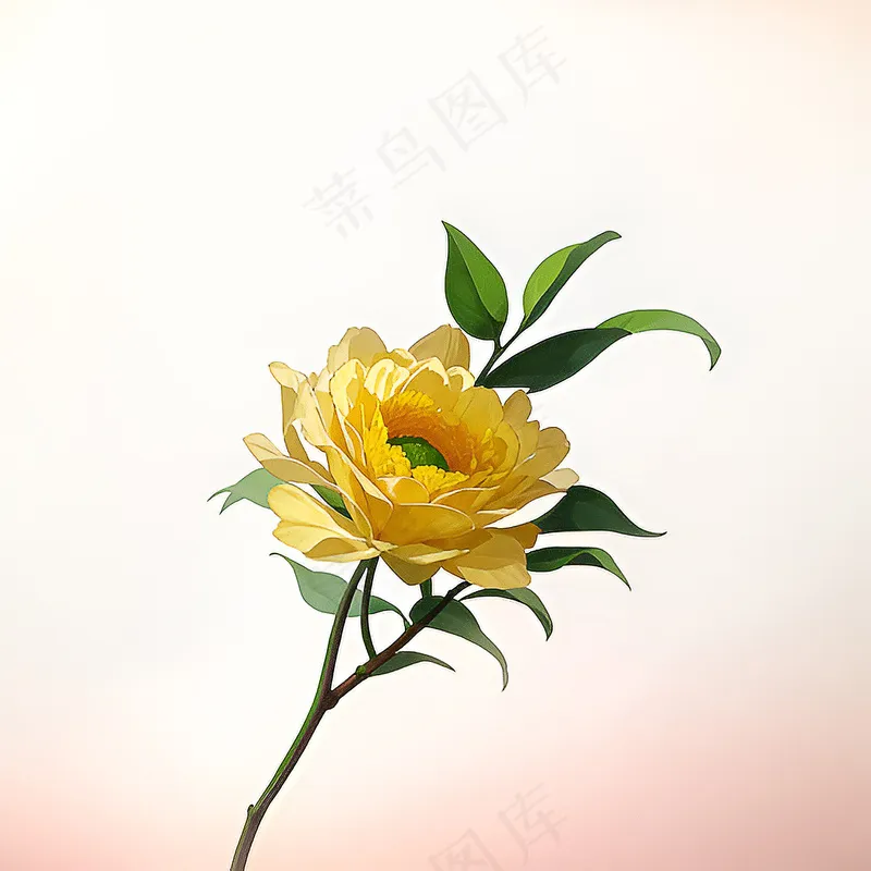 白色黄色手绘新中式风格花植物22