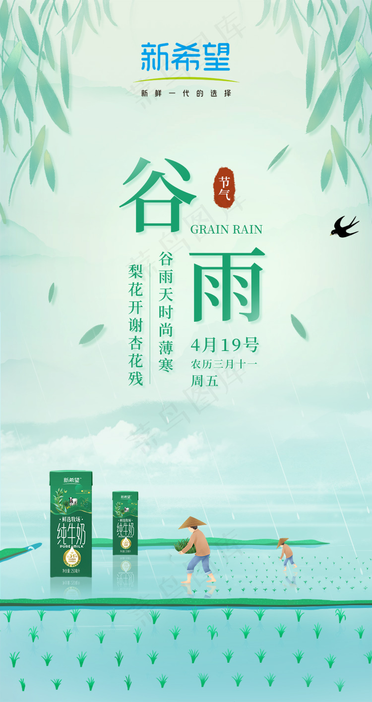 谷雨 二十四节气psd模版下载