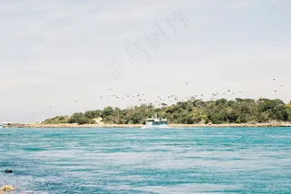 宁静海岸线与自由翱翔的鸟群