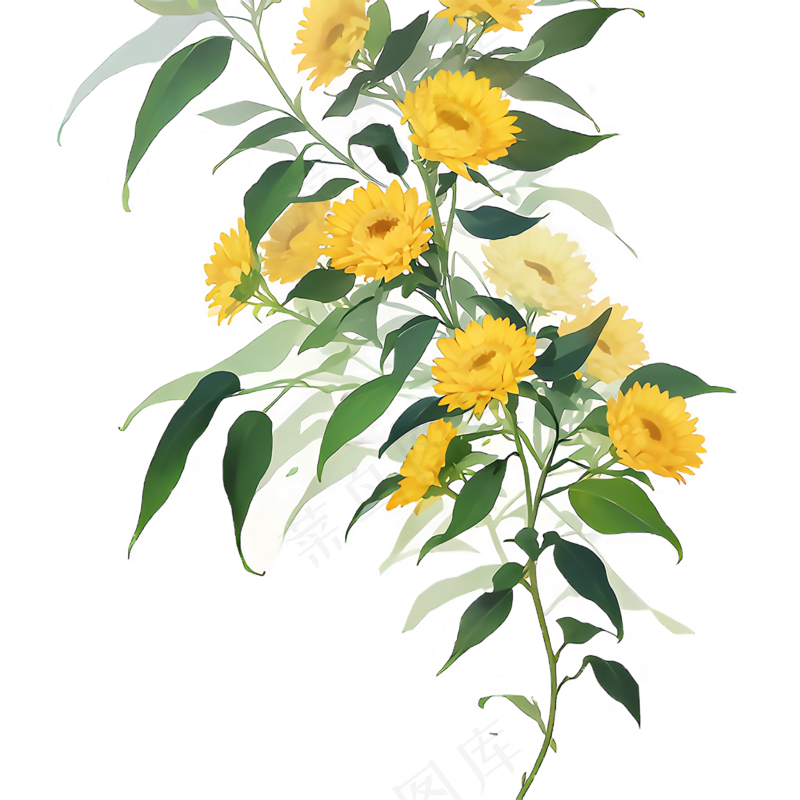 黄色 唯美 手绘 免抠 PNG 花 植物 素材13