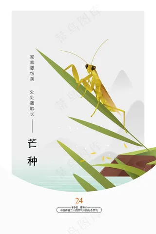 芒种节气传统海报