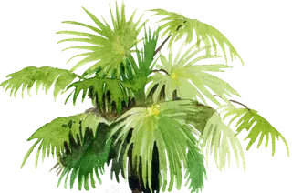 手绘植物免扣素材