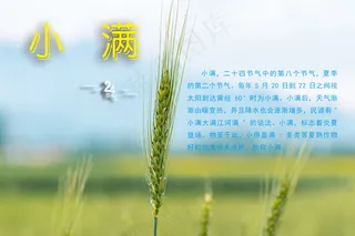 24节气 小满