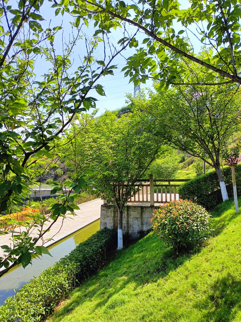 阳光校园风光