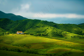春天草甸山峦树木草地摄影图