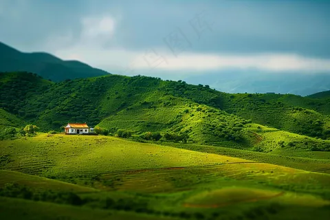 春天草甸山峦树木草地摄影图 春天草甸山峦树木草地摄影图