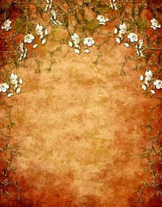 深色花朵古典秀外慧中背景8