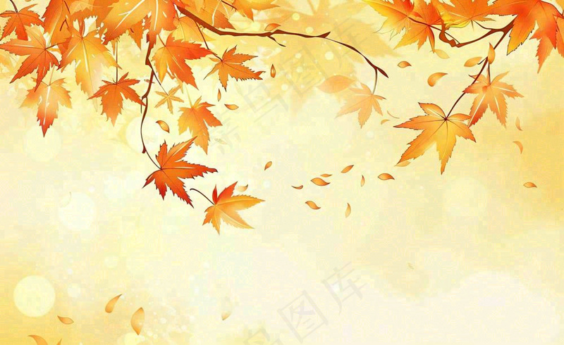 秋天红了的枫叶枫树落叶飘零立秋秋分黄色卡通插画背景(1408x864)