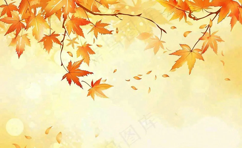 秋天红了的枫叶枫树落叶飘零立秋秋分黄色卡通插画背景(1408x864)