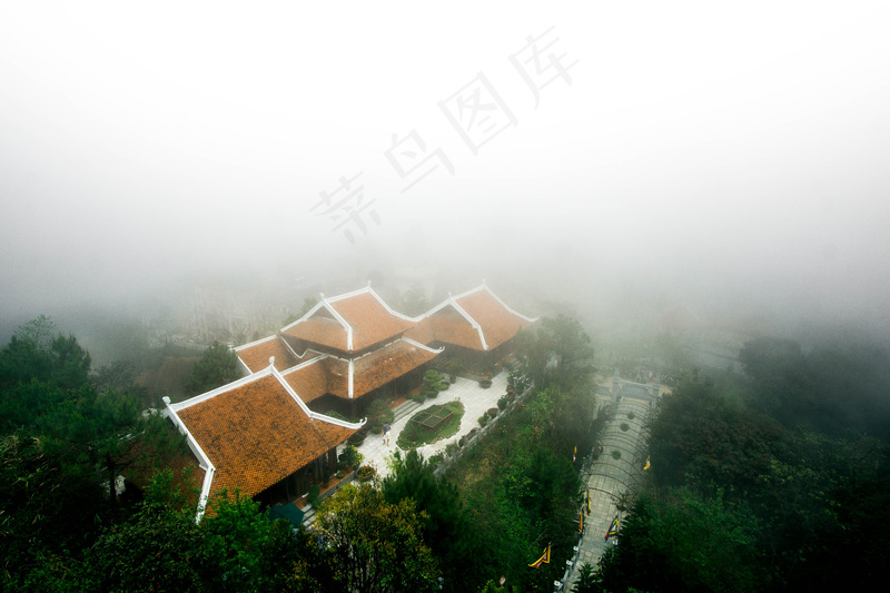云雾森林图片