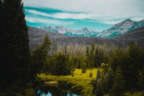 静谧山谷中的自然画卷 静谧山谷中的自然画卷