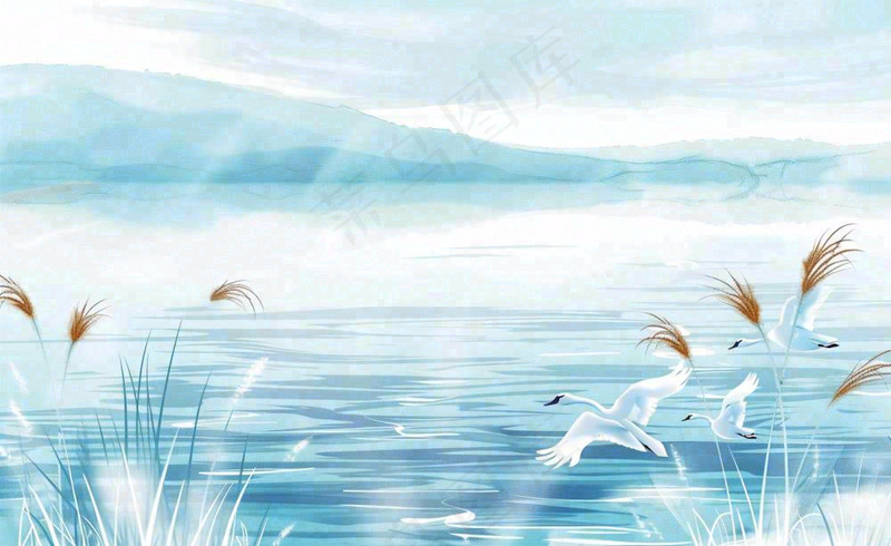 唯美白露插画白鹭动物风景秋天景色寒冷清冷芦苇丛寒露背景