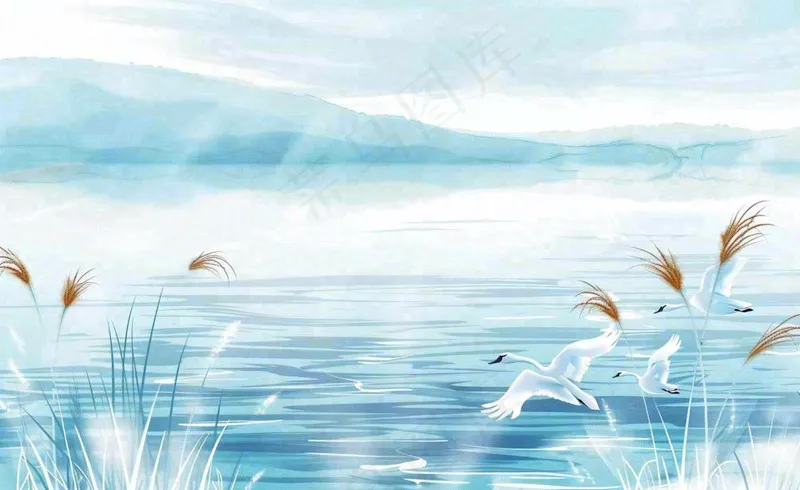 唯美白露插画白鹭动物风景秋天景色寒冷清冷芦苇丛寒露背景(1408x864)