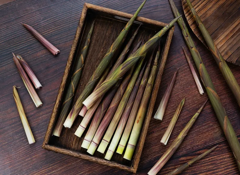 竹笋时令食材美食