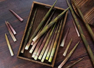 竹笋时令食材美食