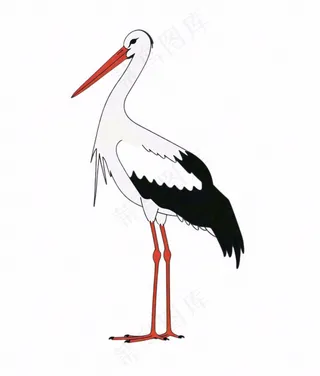 白鹤白鹭鸟国风插画免抠