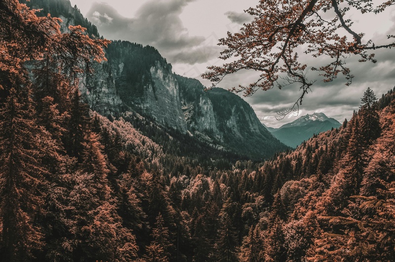 山谷中的秋日盛景