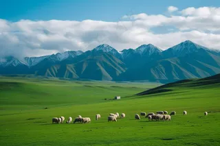 新疆春天草原风光大自然风景摄影图