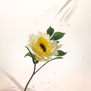 白色黄色手绘新中式风格花植物144