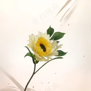 白色黄色手绘新中式风格花植物144 白色黄色手绘新中式风格花植物144