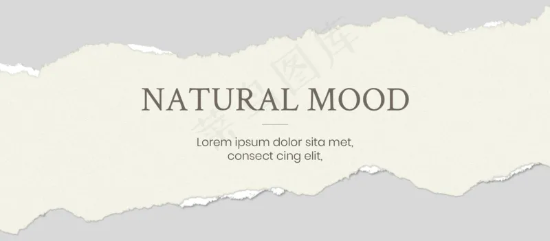 棕色背景撕裂风照片相册10psd模版下载