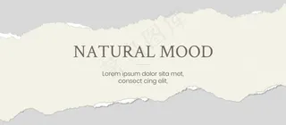 棕色背景撕裂风照片相册10