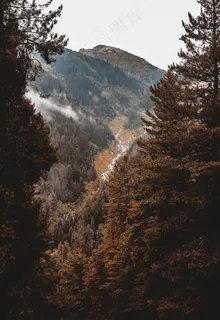 山谷中的云雾缭绕