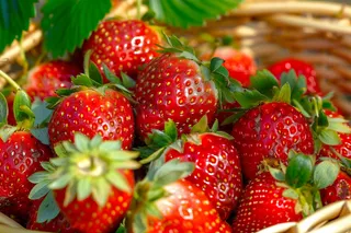 草莓水果摄影图