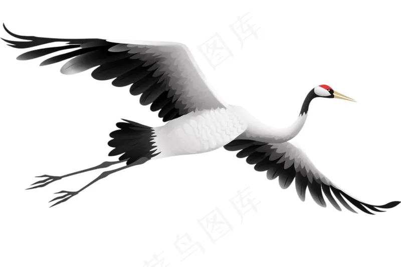 仙鹤白鹤古风插画免抠(1344x896)