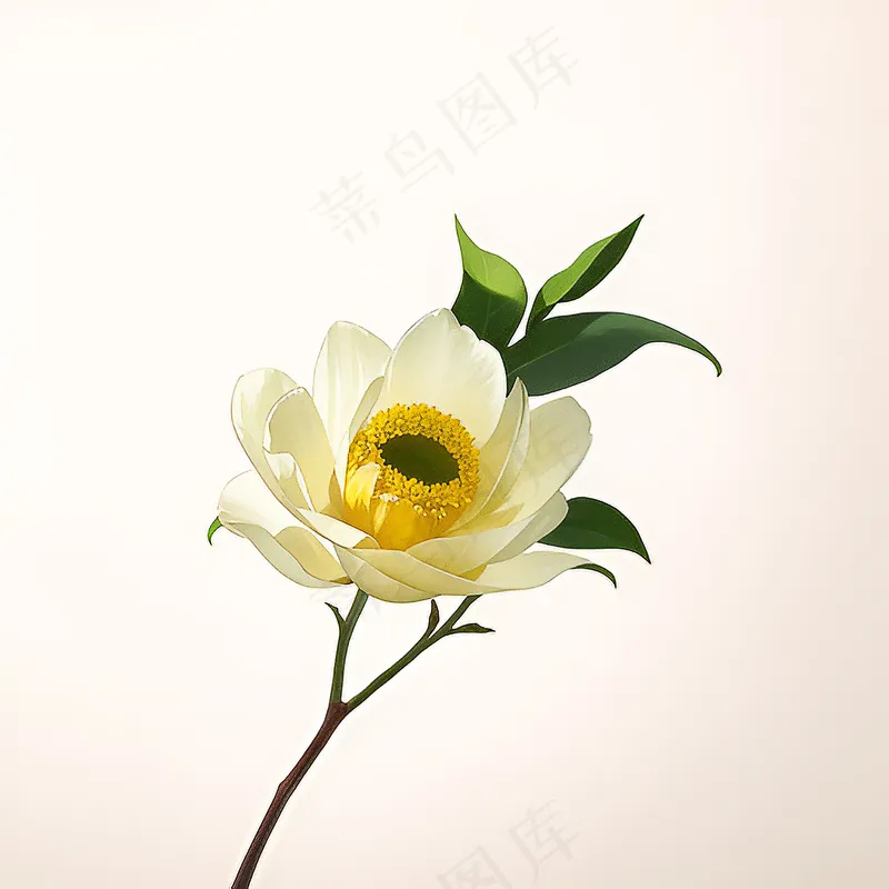 白色黄色手绘新中式风格花植物48