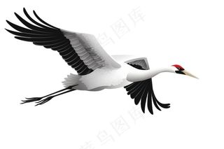 仙鹤国风插画免抠