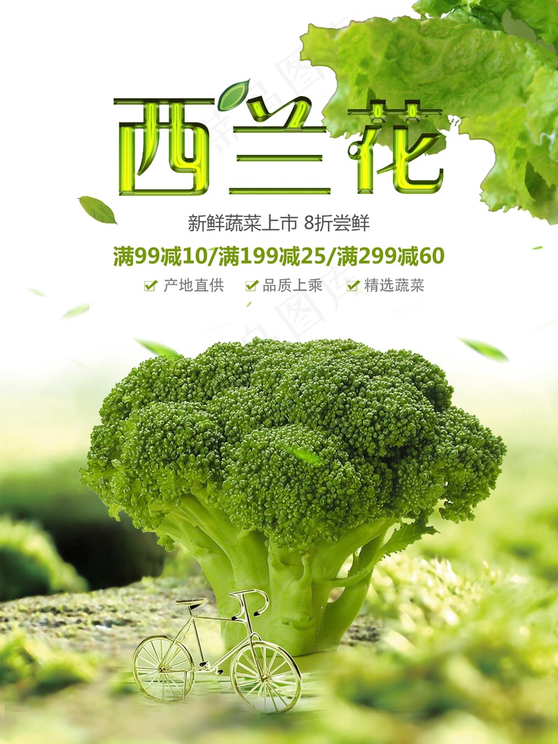西兰花宣传psd模版下载