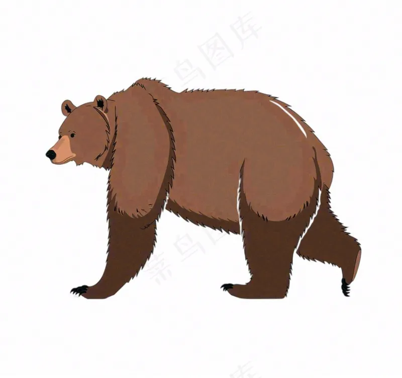 棕熊大熊动物卡通插画免抠(1088x1024)