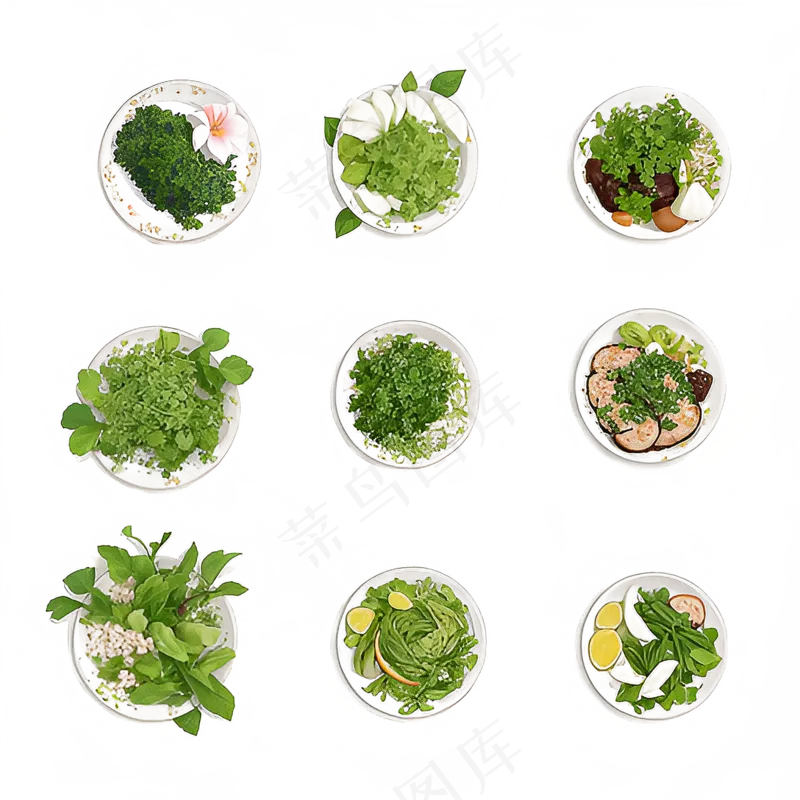 手绘练习小植物花草系列43