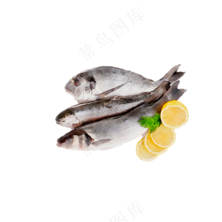 免抠三条柠檬大黄鱼