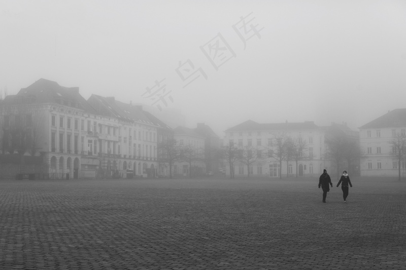 云雾森林图片