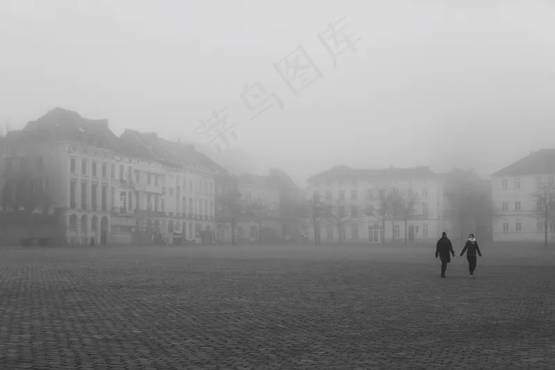云雾森林图片