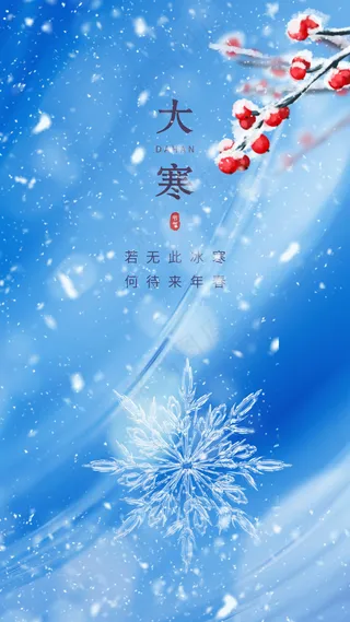 大寒节气简约海报