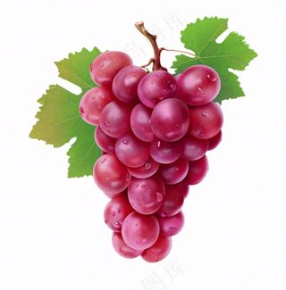 葡萄水果卡通插画免抠
