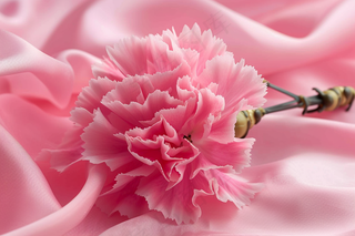 康乃馨鲜花花束摄影图
