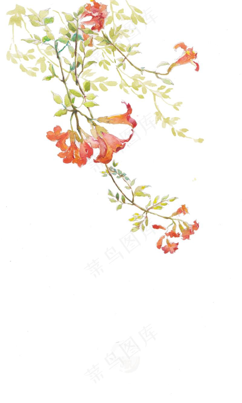清新花朵背景125免扣图片
