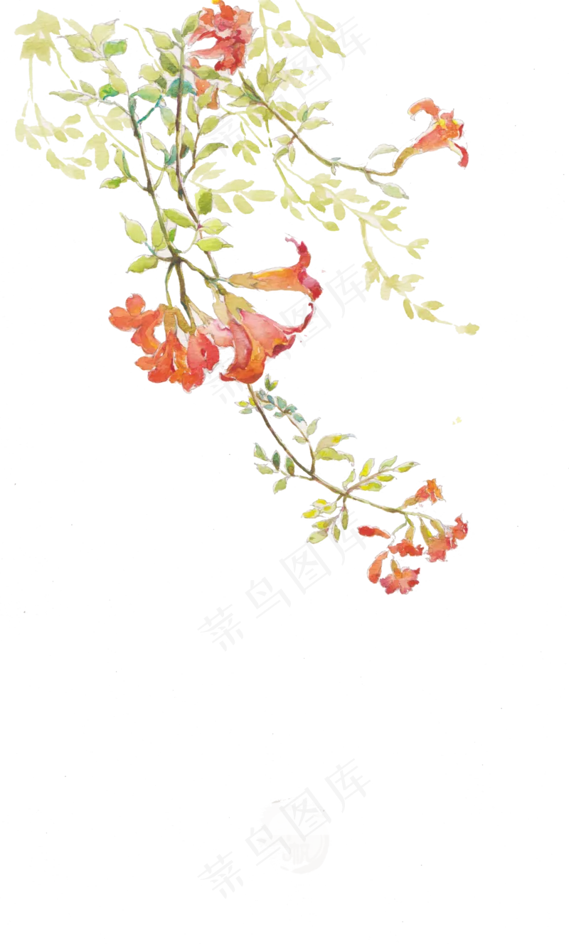 清新花朵背景125免扣图片