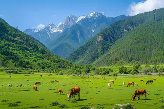 春天草甸草地山坡摄影图