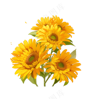 金色向日葵花丛素材1