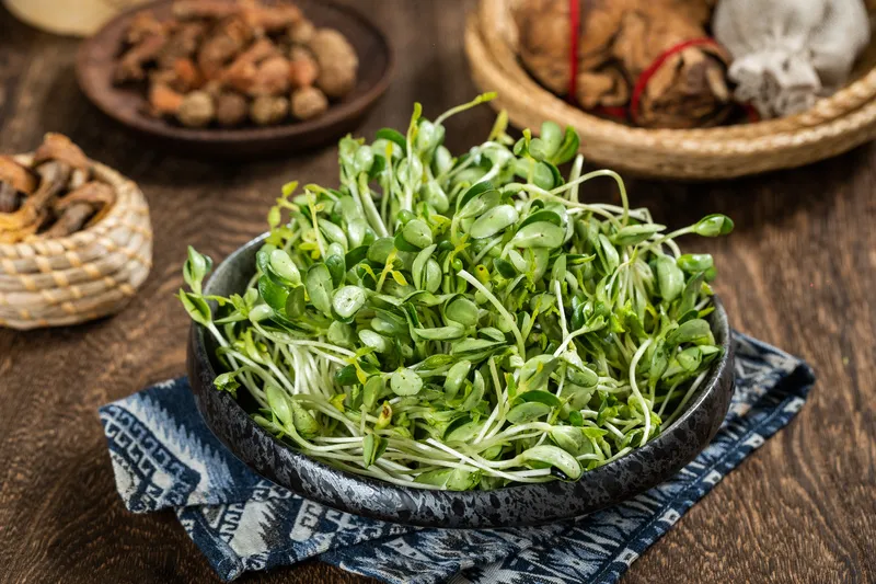 黑豆苗     