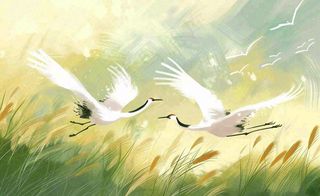 秋天白鹭飞鹤芦苇丛白露寒露节气插画背景