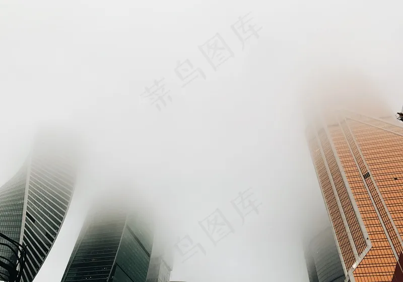 云雾森林图片