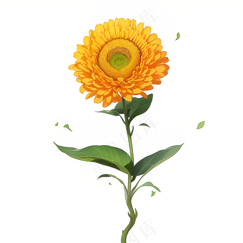 黄色向日葵免抠素材93