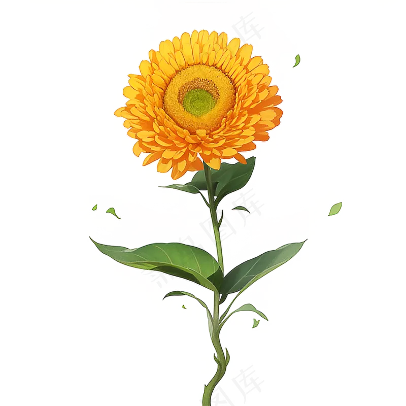黄色向日葵免抠素材93